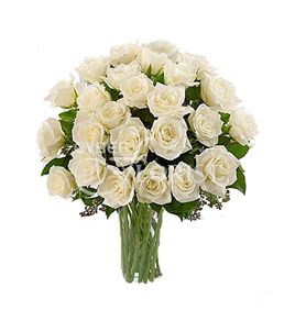 Long-stem White Roses